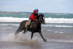 Gallop On Tullan Strand Gallop On Tullan Strand