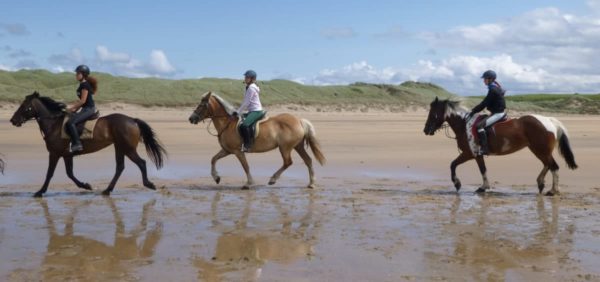 Beach Rides on The Wild Atlantic Way | Donegal Equestrian Centre