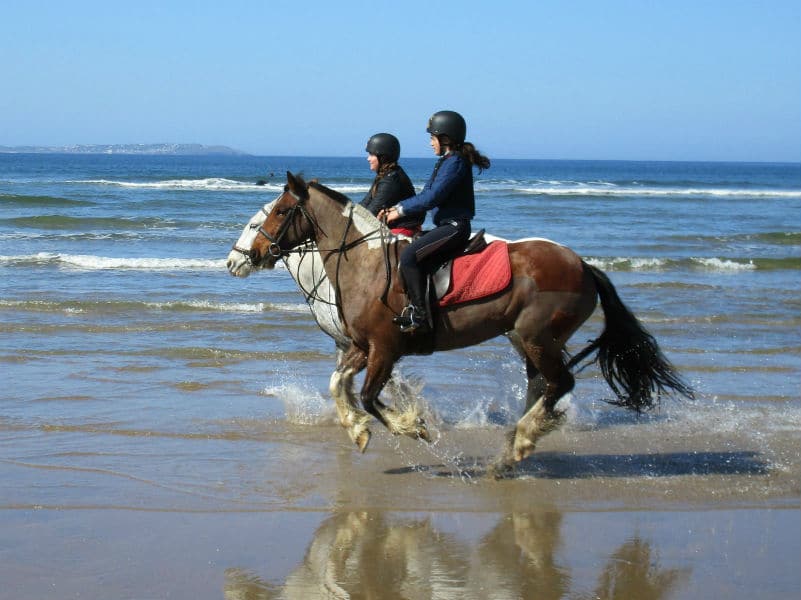 Frequently Asked Questions | Donegal Equestrian Centre