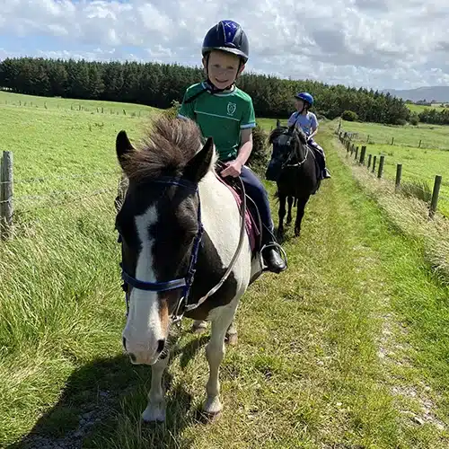 Pony Camps