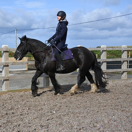 Riding Lessons